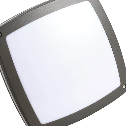 PLAFÓN EXTERIOR LED TORONTO 12W 4000K