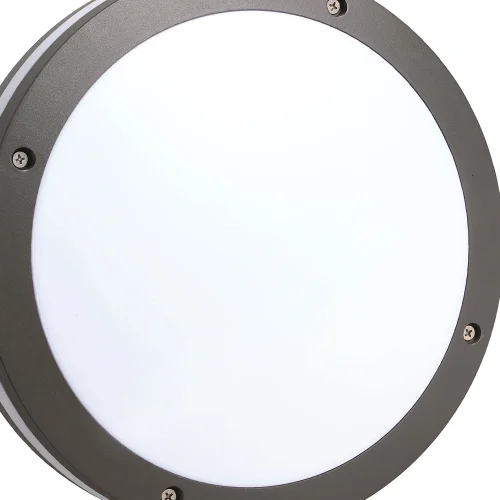 PLAFÓN EXTERIOR LED TORONTO 12W 4000K CIRCULAR