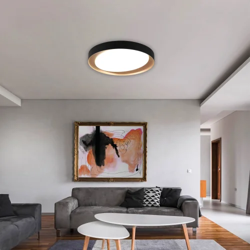 PLAFÓN DE TECHO LED BENTON 24W REGULABLE NEGRO