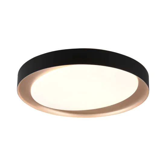 PLAFÓN DE TECHO LED BENTON 24W REGULABLE NEGRO 2