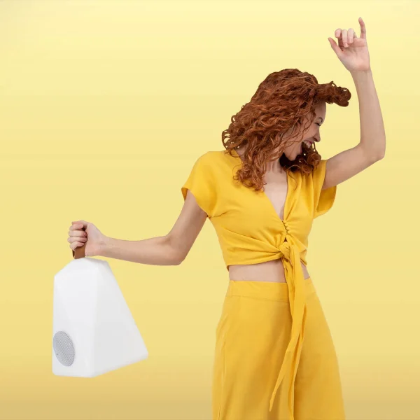 FARALAY PLAY LIGHT & MUSIC