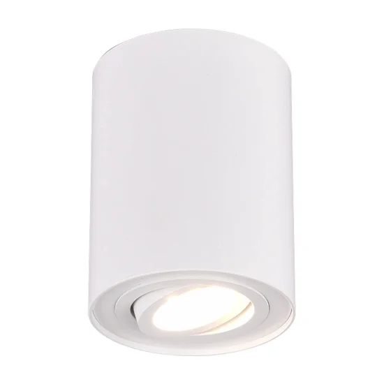 PLAFÓN DE TECHO 1 LUZ BASCULANTE METAL BLANCO GU10 FORTUNE