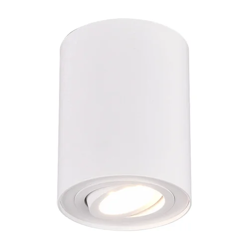 PLAFÓN DE TECHO 1 LUZ BASCULANTE METAL BLANCO GU10 FORTUNE PLAFÓN DE TECHO 1 LUZ BASCULANTE METAL BLANCO GU10 FORTUNE