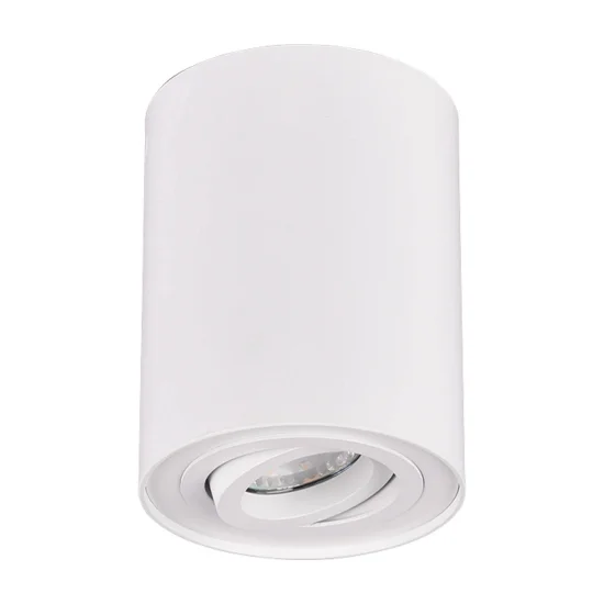 PLAFÓN DE TECHO 1 LUZ BASCULANTE METAL BLANCO GU10 FORTUNE 2