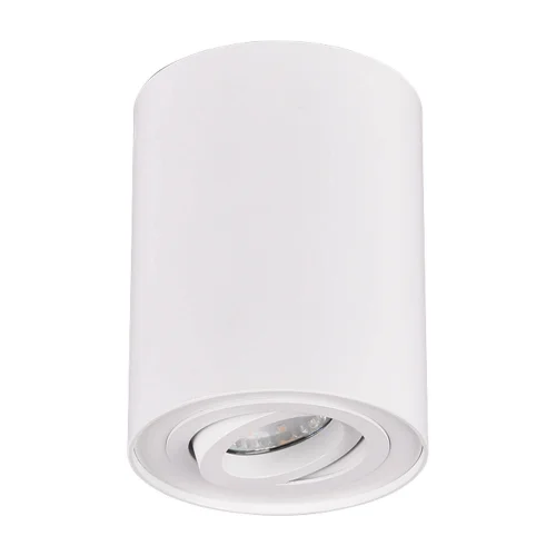 PLAFÓN DE TECHO 1 LUZ BASCULANTE METAL BLANCO GU10 FORTUNE PLAFÓN DE TECHO 1 LUZ BASCULANTE METAL BLANCO GU10 FORTUNE