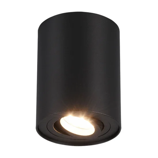 PLAFÓN DE TECHO 1 LUZ BASCULANTE METAL NEGRO GU10 FORTUNE