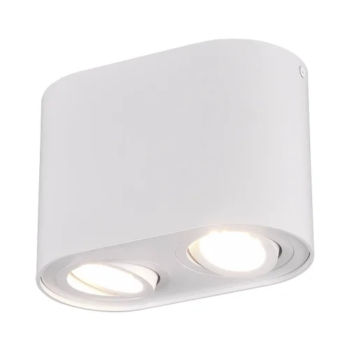PLAFÓN DE TECHO 2 LUCES BASCULANTE METAL BLANCO GU10 FORTUNE