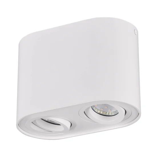 PLAFÓN DE TECHO 2 LUCES BASCULANTE METAL BLANCO GU10 FORTUNE 2