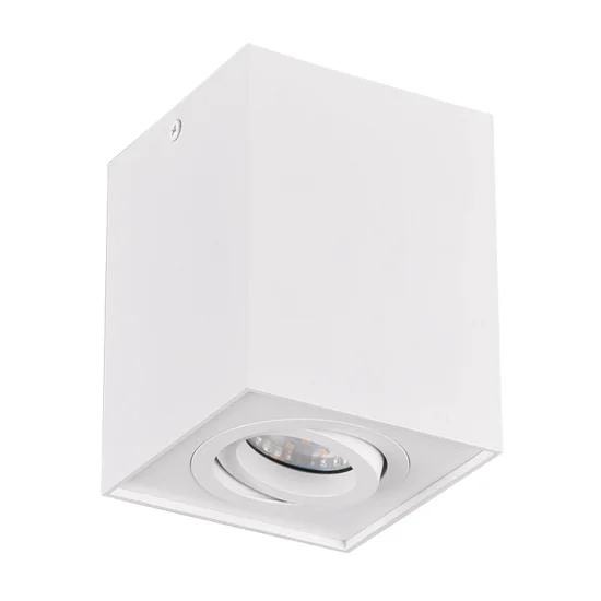 PLAFÓN DE TECHO 1 LUZ BASCULANTE METAL BLANCO GU10 GARIBALDI 2
