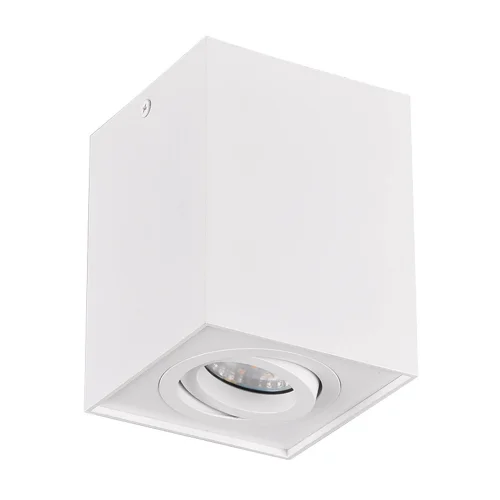 PLAFÓN DE TECHO 1 LUZ BASCULANTE METAL BLANCO GU10 GARIBALDI