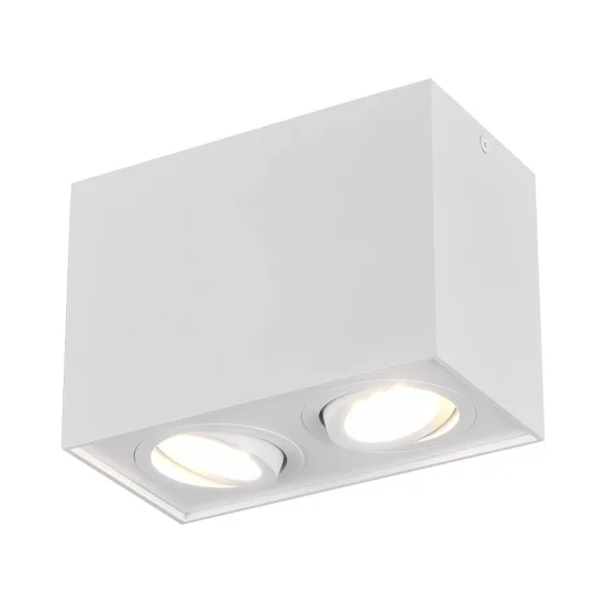 PLAFÓN DE TECHO 2 LUCES BASCULANTE METAL BLANCO GU10 GARIBALDI