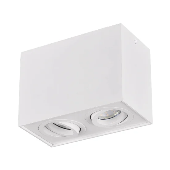 PLAFÓN DE TECHO 2 LUCES BASCULANTE METAL BLANCO GU10 GARIBALDI 2