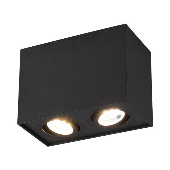 PLAFÓN DE TECHO 2 LUCES BASCULANTE METAL NEGRO GU10 GARIBALDI