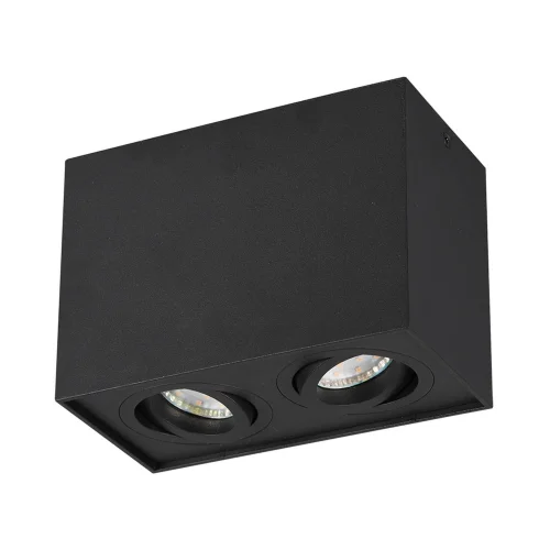 PLAFÓN DE TECHO 2 LUCES BASCULANTE METAL NEGRO GU10 GARIBALDI