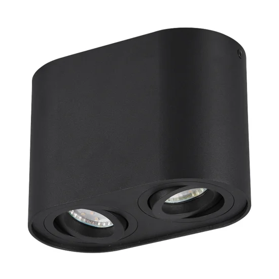 PLAFÓN DE TECHO 2 LUCES BASCULANTE METAL NEGRO GU10 FORTUNE 2