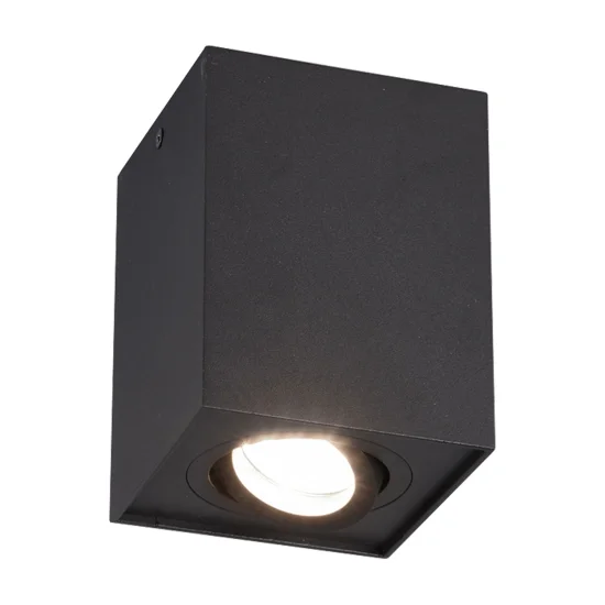 PLAFÓN DE TECHO 1 LUZ BASCULANTE METAL NEGRO GU10 GARIBALDI