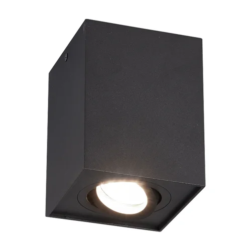 PLAFÓN DE TECHO 1 LUZ BASCULANTE METAL NEGRO GU10 GARIBALDI