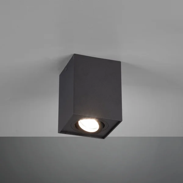 PLAFÓN DE TECHO 1 LUZ BASCULANTE METAL NEGRO GU10 GARIBALDI