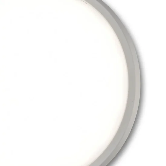 APLIQUE EXTERIOR LED 20 W 4000K CIRCULAR IP65 CAMELIA 2