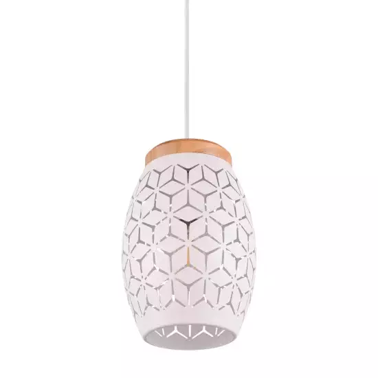 LÁMPARA DE TECHO COLGANTE 1 LUZ METAL BLANCO E27 BIRKITA 2