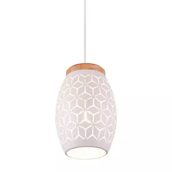 LÁMPARA DE TECHO COLGANTE 1 LUZ METAL BLANCO E27 BIRKITA