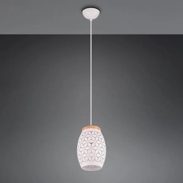 LÁMPARA DE TECHO COLGANTE 1 LUZ METAL BLANCO E27 BIRKITA