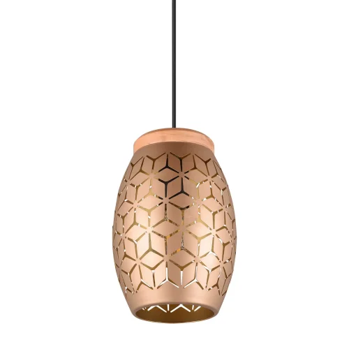 LÁMPARA DE TECHO COLGANTE 1 LUZ METAL COFFEE E27 BIRKITA