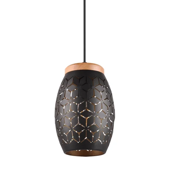 LÁMPARA DE TECHO COLGANTE 1 LUZ METAL NEGRO E27 BIRKITA 2