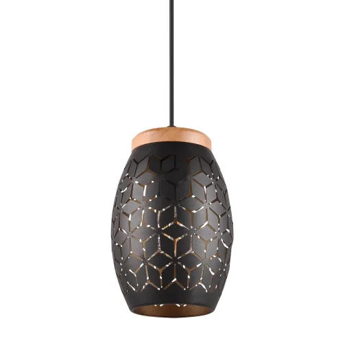 LÁMPARA DE TECHO COLGANTE 1 LUZ METAL NEGRO E27 BIRKITA