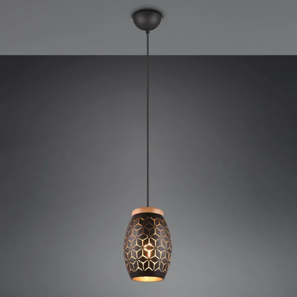 LÁMPARA DE TECHO COLGANTE 1 LUZ METAL NEGRO E27 BIRKITA