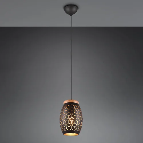 LÁMPARA DE TECHO COLGANTE 1 LUZ METAL NEGRO E27 BIRKITA