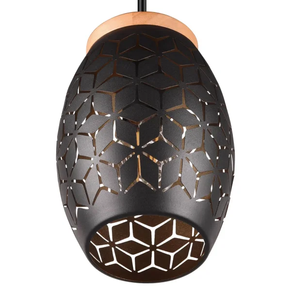 LÁMPARA DE TECHO COLGANTE 1 LUZ METAL NEGRO E27 BIRKITA