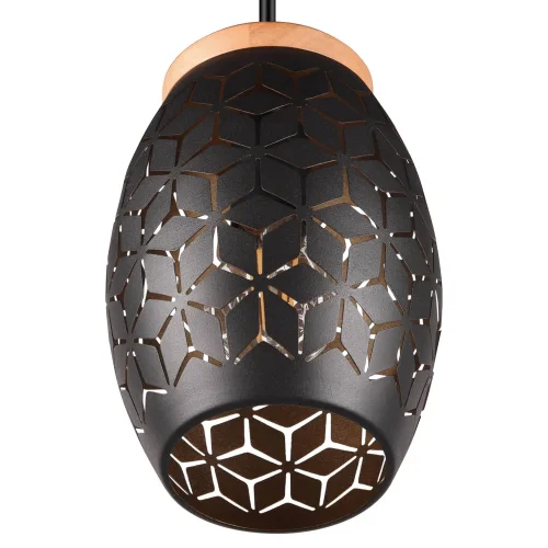 LÁMPARA DE TECHO COLGANTE 1 LUZ METAL NEGRO E27 BIRKITA