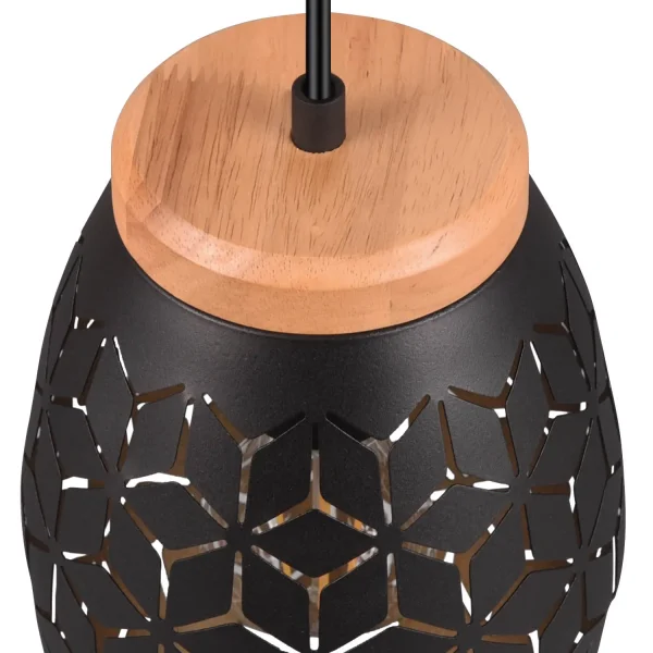 LÁMPARA DE TECHO COLGANTE 1 LUZ METAL NEGRO E27 BIRKITA