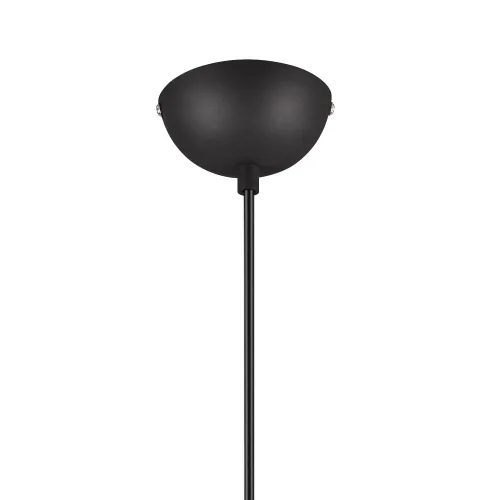 LÁMPARA DE TECHO COLGANTE 1 LUZ METAL NEGRO E27 BIRKITA