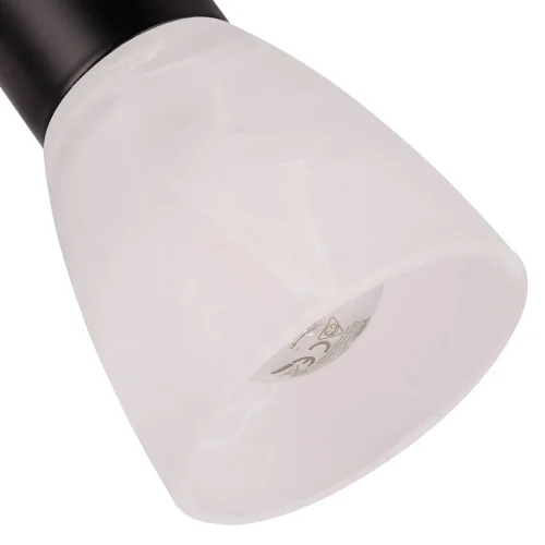 FOCO E14 LED 4,9W 3000K NEGRO LEONEL FOCO E14 LED 4,9W 3000K NEGRO LEONEL