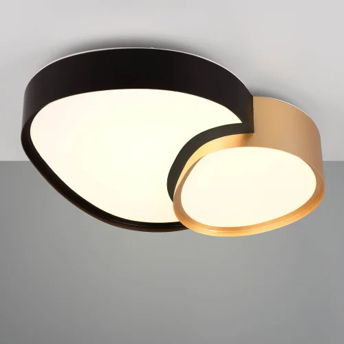 PLAFÓN DE TECHO LED 21W 2700-6500K NEGRO-ORO RUBY