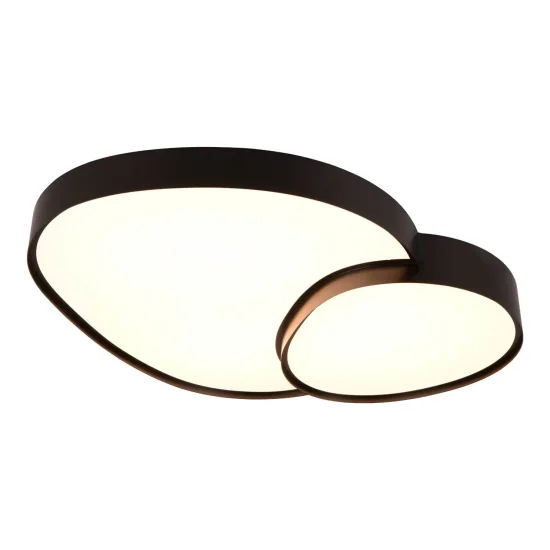 Plafón De Techo Led 45W 2700-6500K Negro Ruby | Lúzete 2