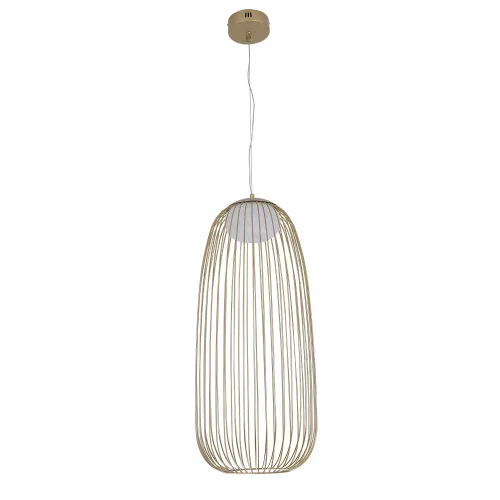 LÁMPARA DE TECHO LED 13W 3000K-4000K-6000K Ø30CM DORADO ARVEN