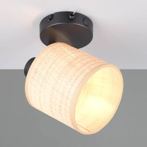 FOCO 1 LUZ PANTALLA EN ALGAS MARINAS E14 TERESA