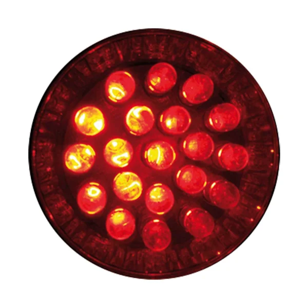 BOMBILLA DIRECTA 2O LEDS 1W RED BOMBILLA DIRECTA 2O LEDS 1W RED