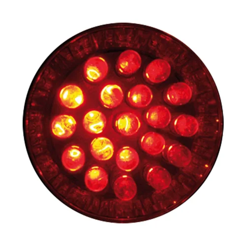 BOMBILLA DIRECTA 2O LEDS 1W RED BOMBILLA DIRECTA 2O LEDS 1W RED