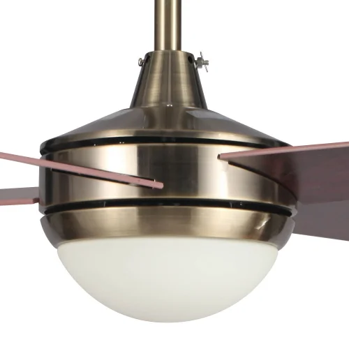 VENTILADOR DE TECHO LED LYNK CUERO