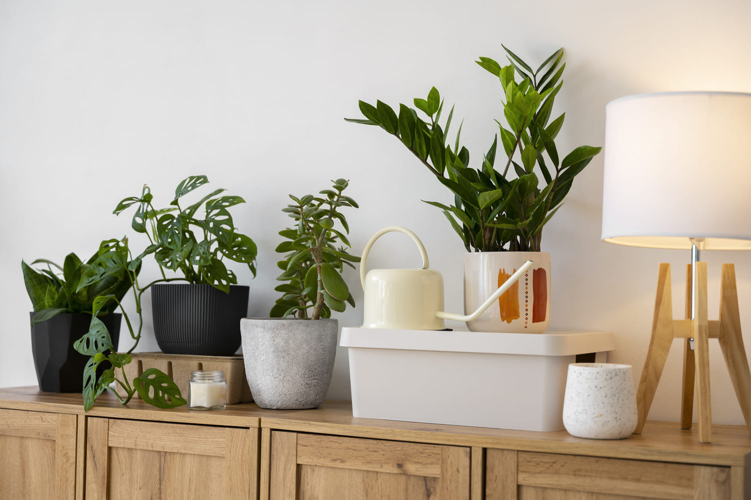 Plantas artificiales en espacios sin luz natural: dónde colocarlas y cómo integrarlas